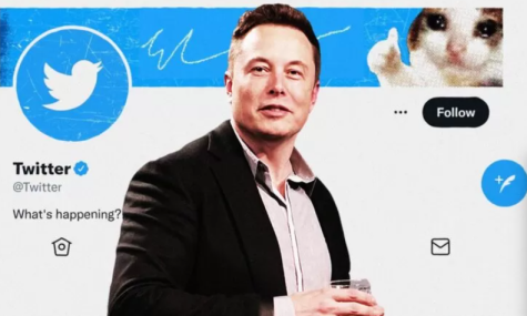 Elon Musk Buys Twitter (Updated 5/24/22)