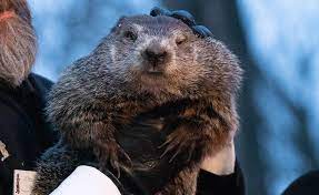 Origins of Groundhog Day