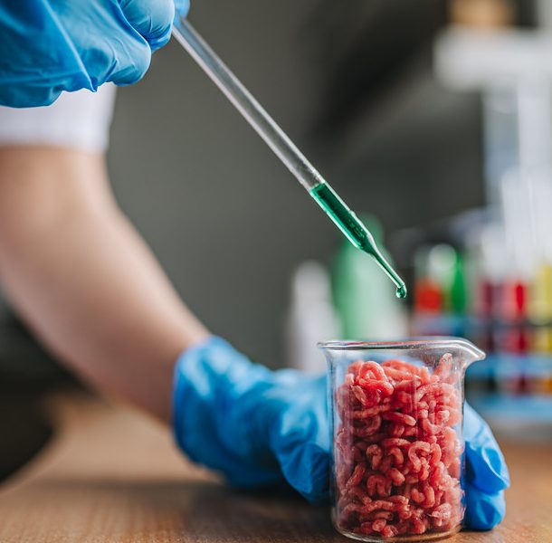 Lab-Grown Food: The Future?
